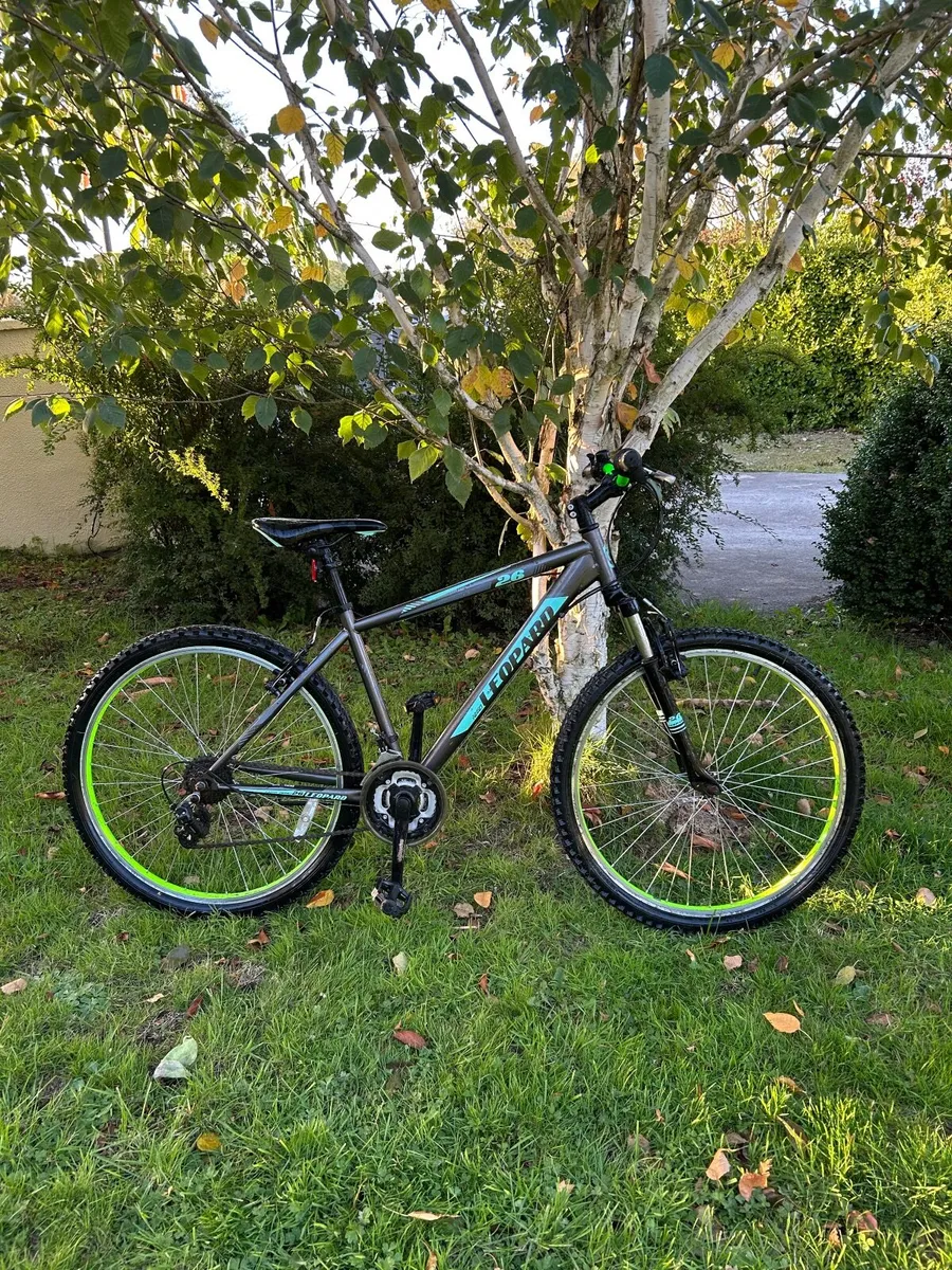 Bike - Image 3