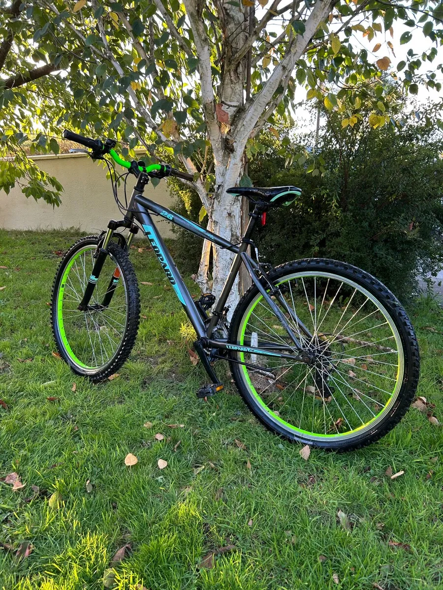 Bike - Image 1