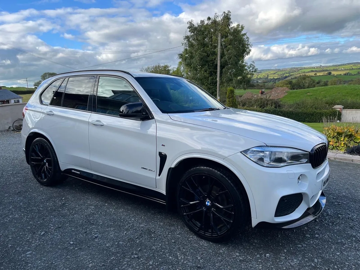 X5 30d MSport - Image 1