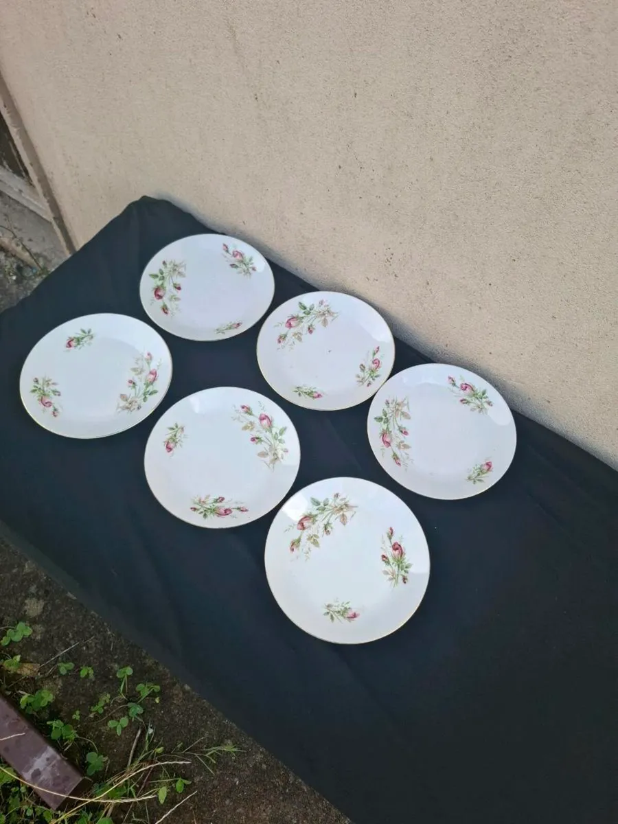 6 roses china sides plates postage possible - Image 1