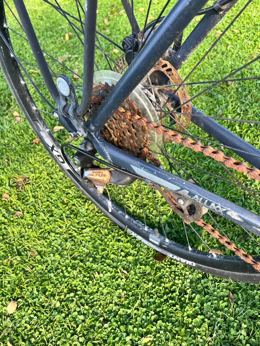 Bike free - Image 2
