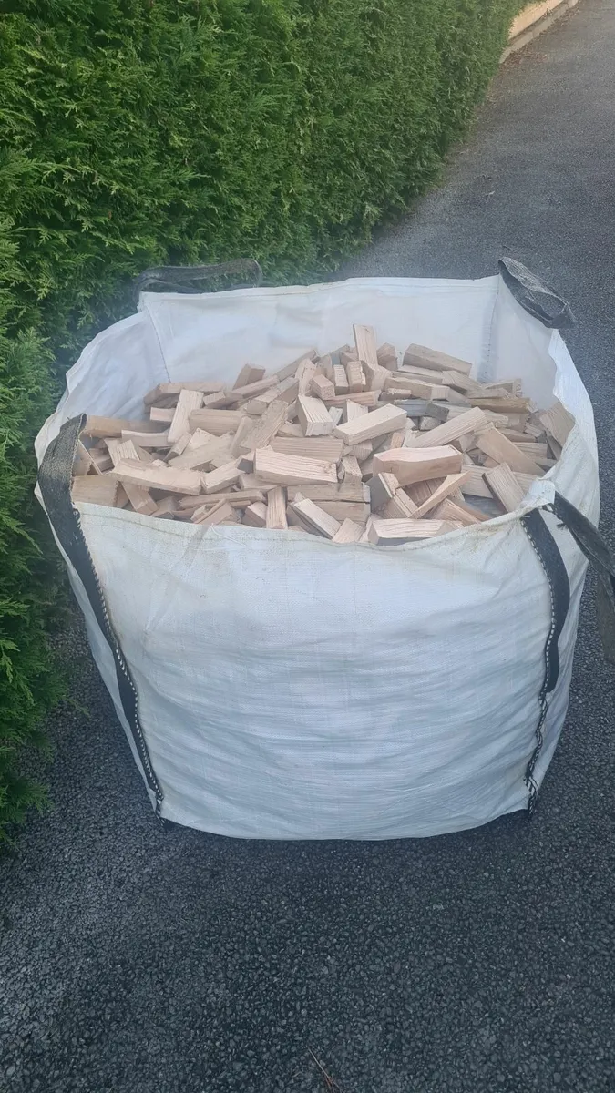 kindling firewood - Image 2