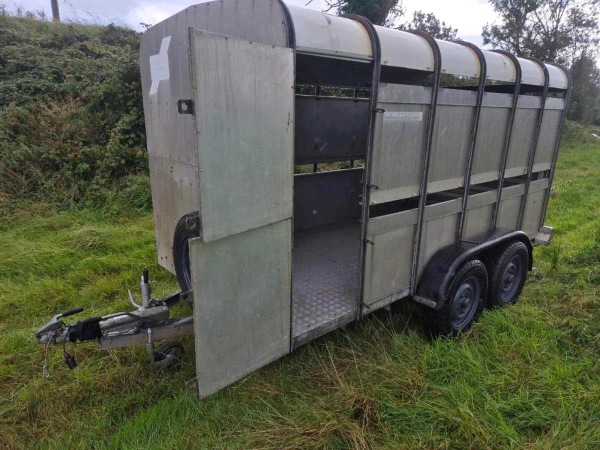 Cattle Trailer 12ft x 6ft - Image 3