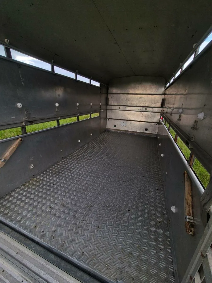 Cattle Trailer 12ft x 6ft - Image 4