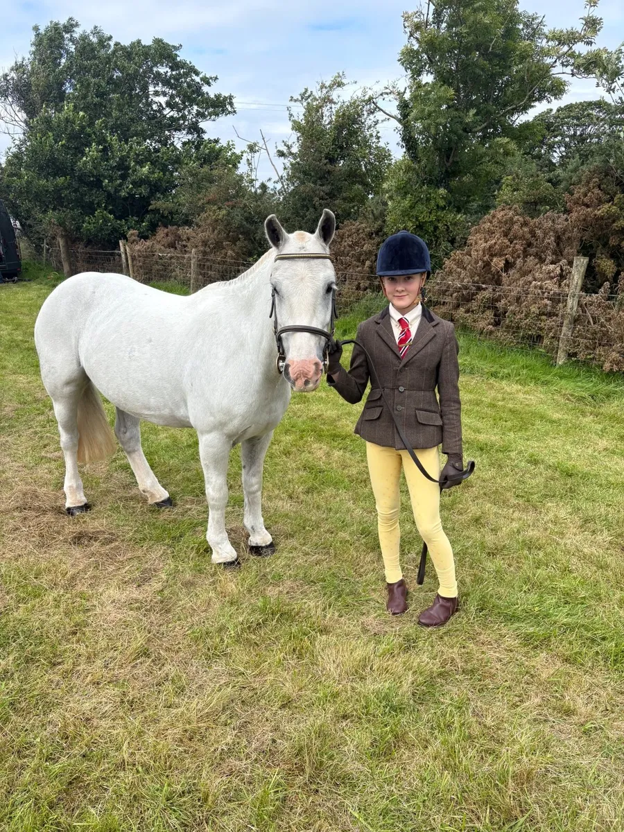 Pony - Image 1