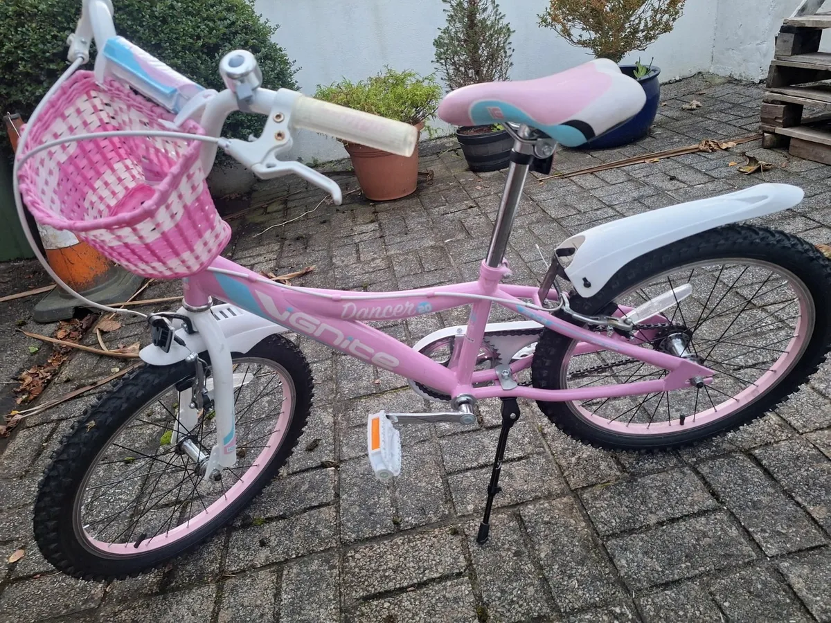 Bicycle - Image 1