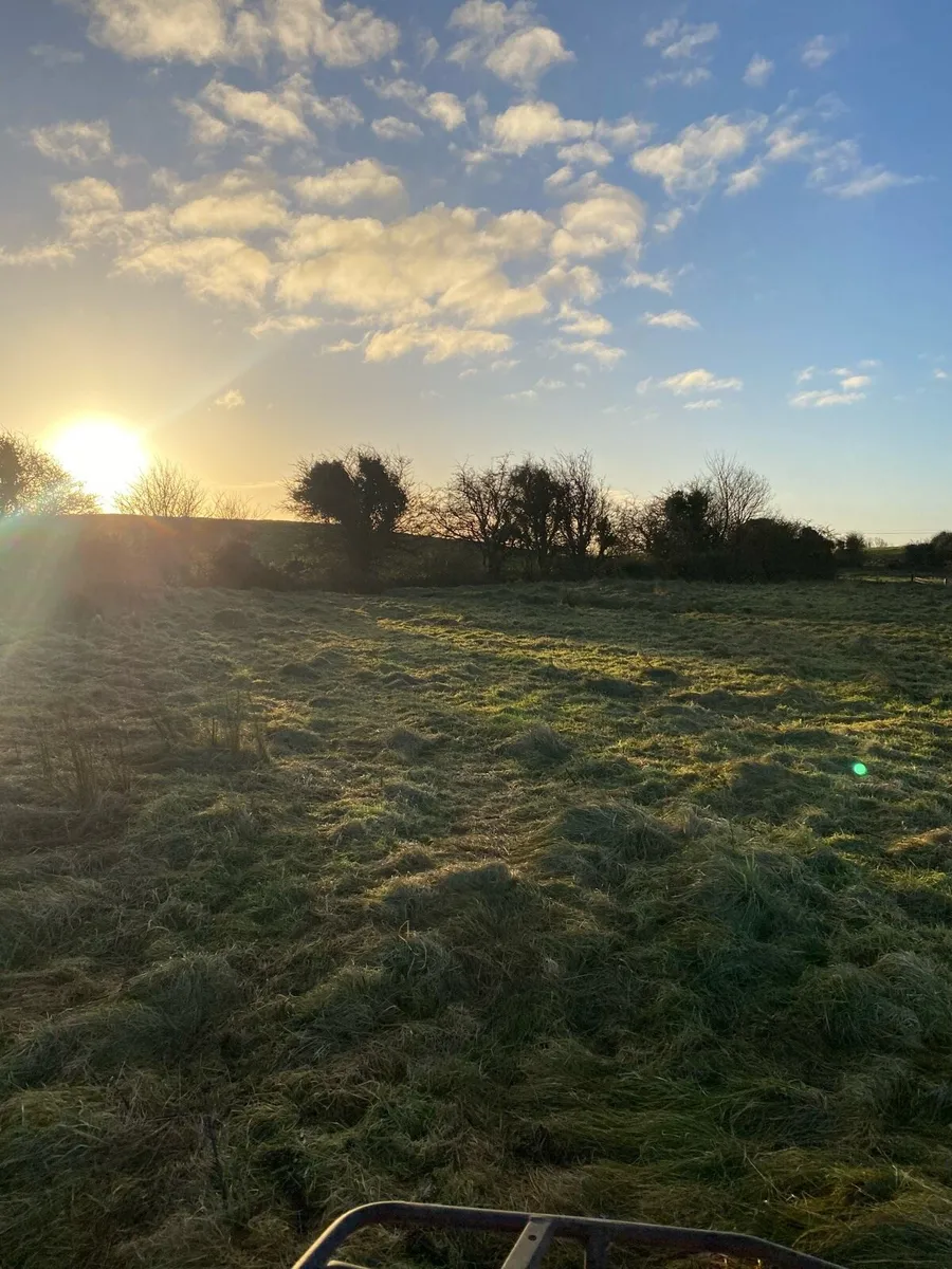Organic haylage