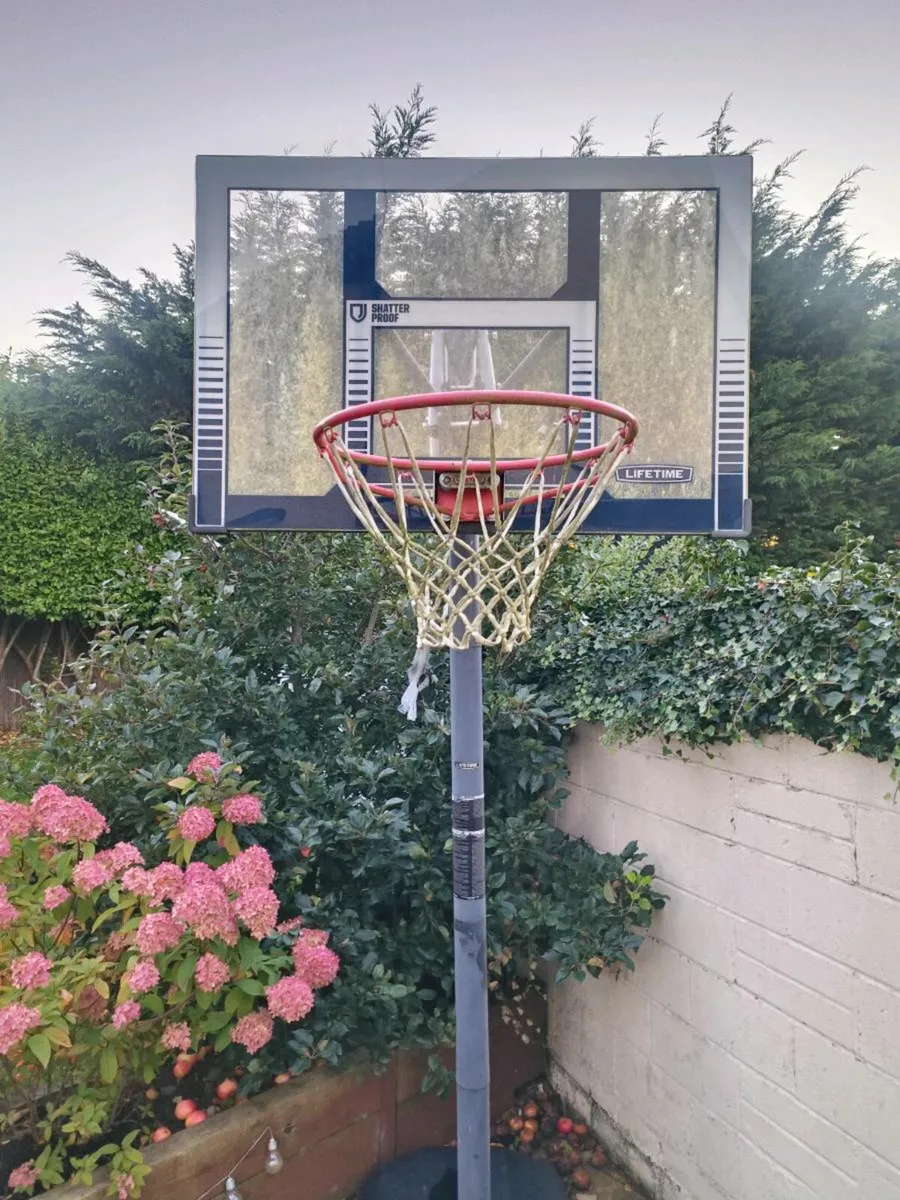 Basketball Net and stand - Image 2