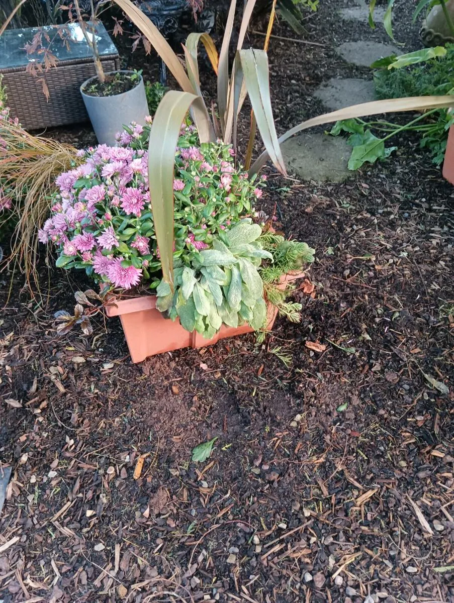 Lovely large planter,35 Euro - Image 1