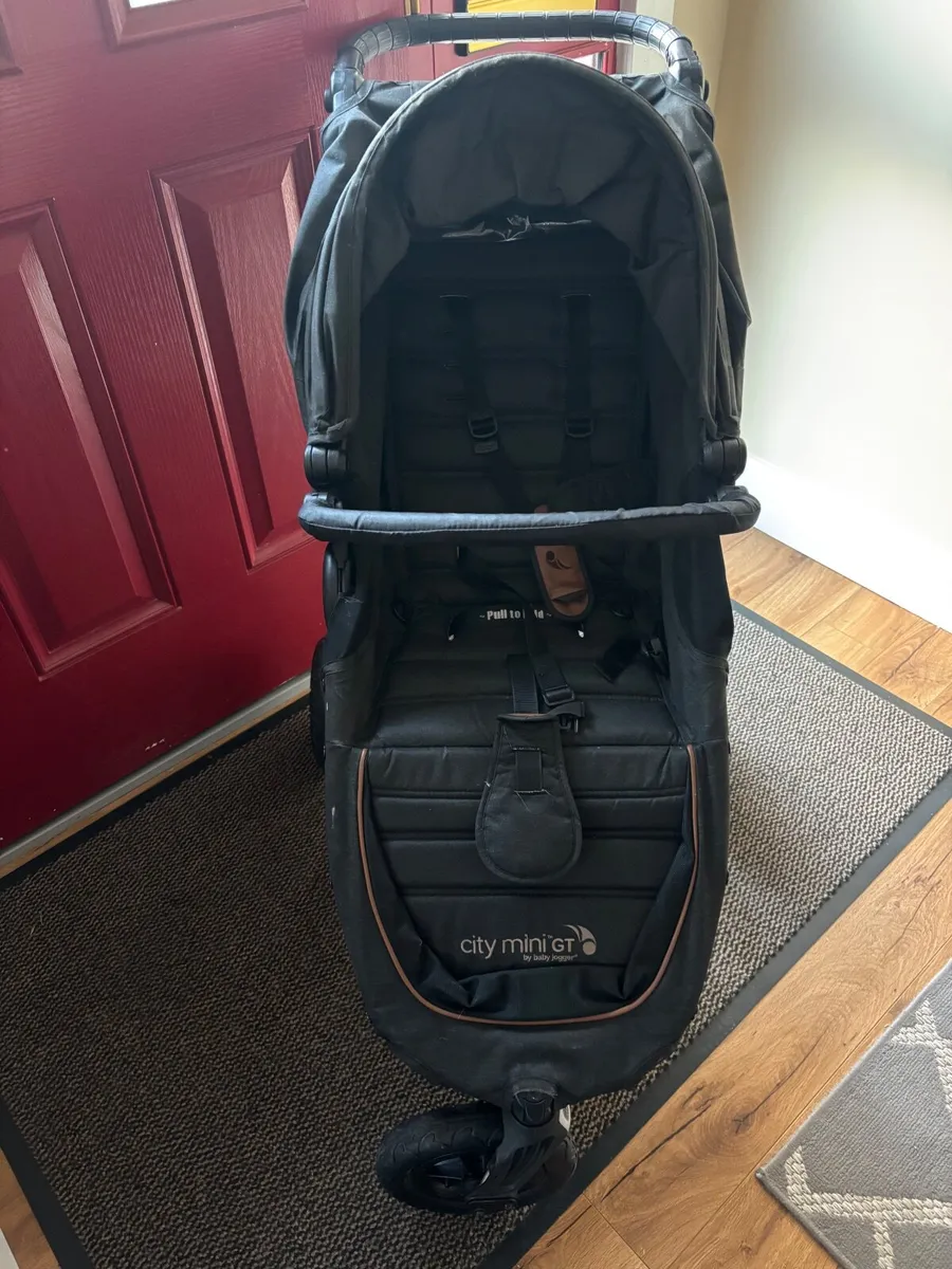 Buggy - Image 1