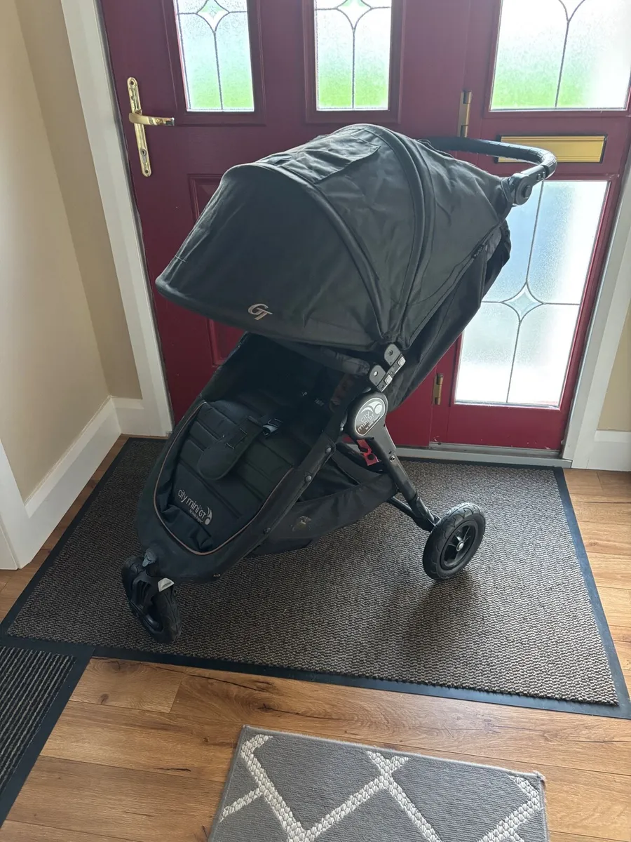 Buggy - Image 2
