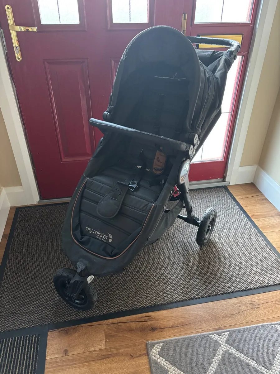 Buggy - Image 4