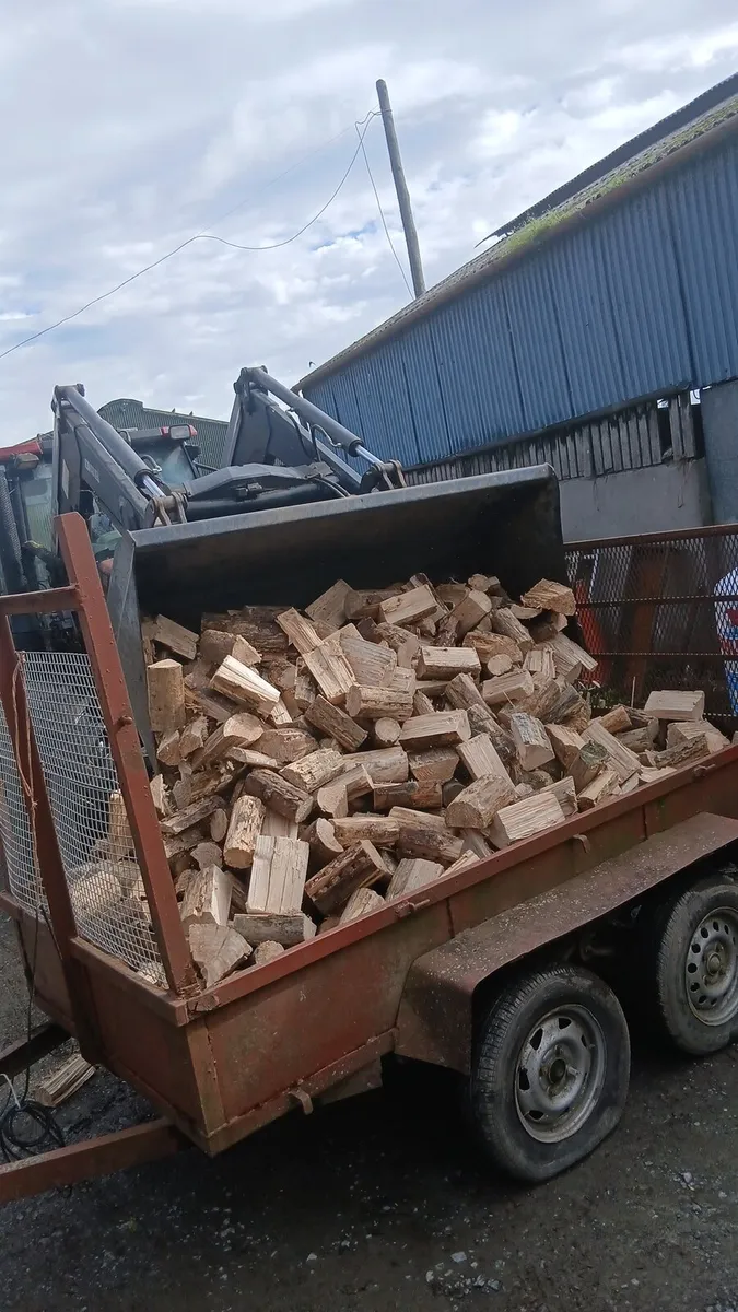 🔥🔥firewood 🔥🔥 - Image 1