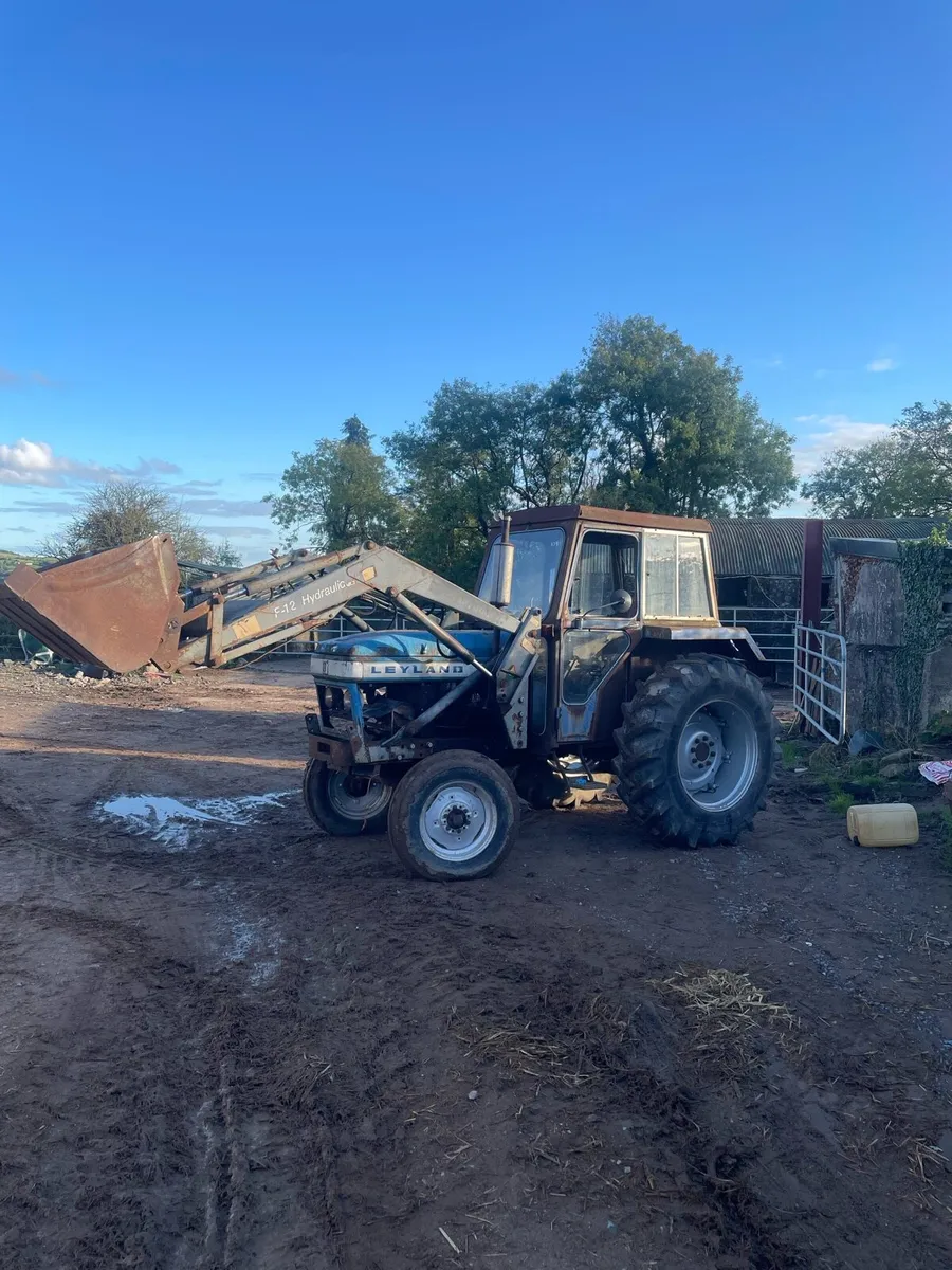 Leyland 272 with loader and bucket open to offers - Image 1