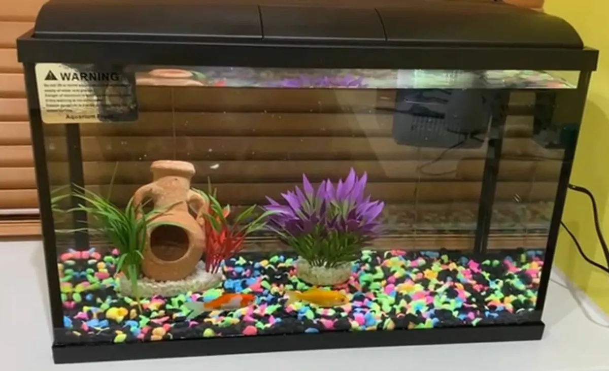 Fish Tank (All Included) - Image 1