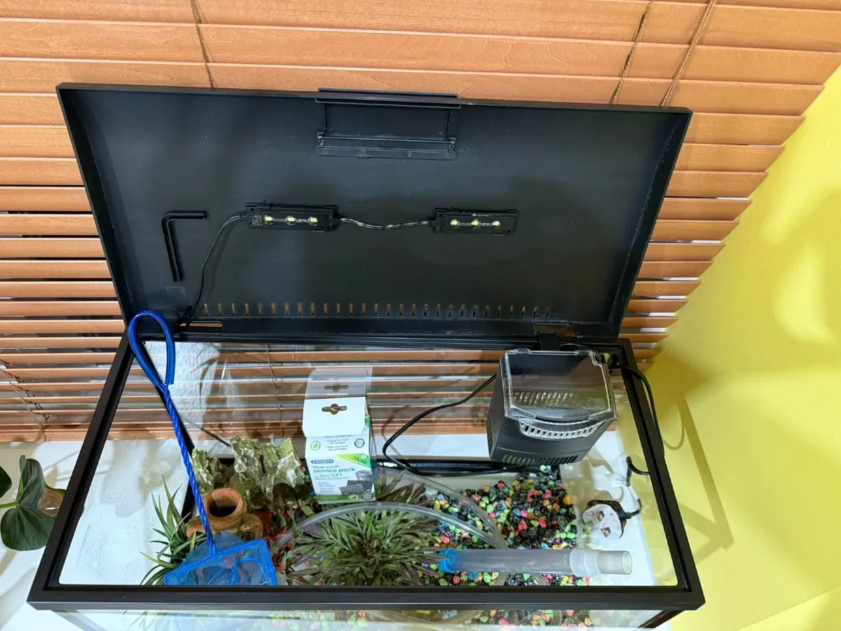 Fish Tank (All Included) - Image 2