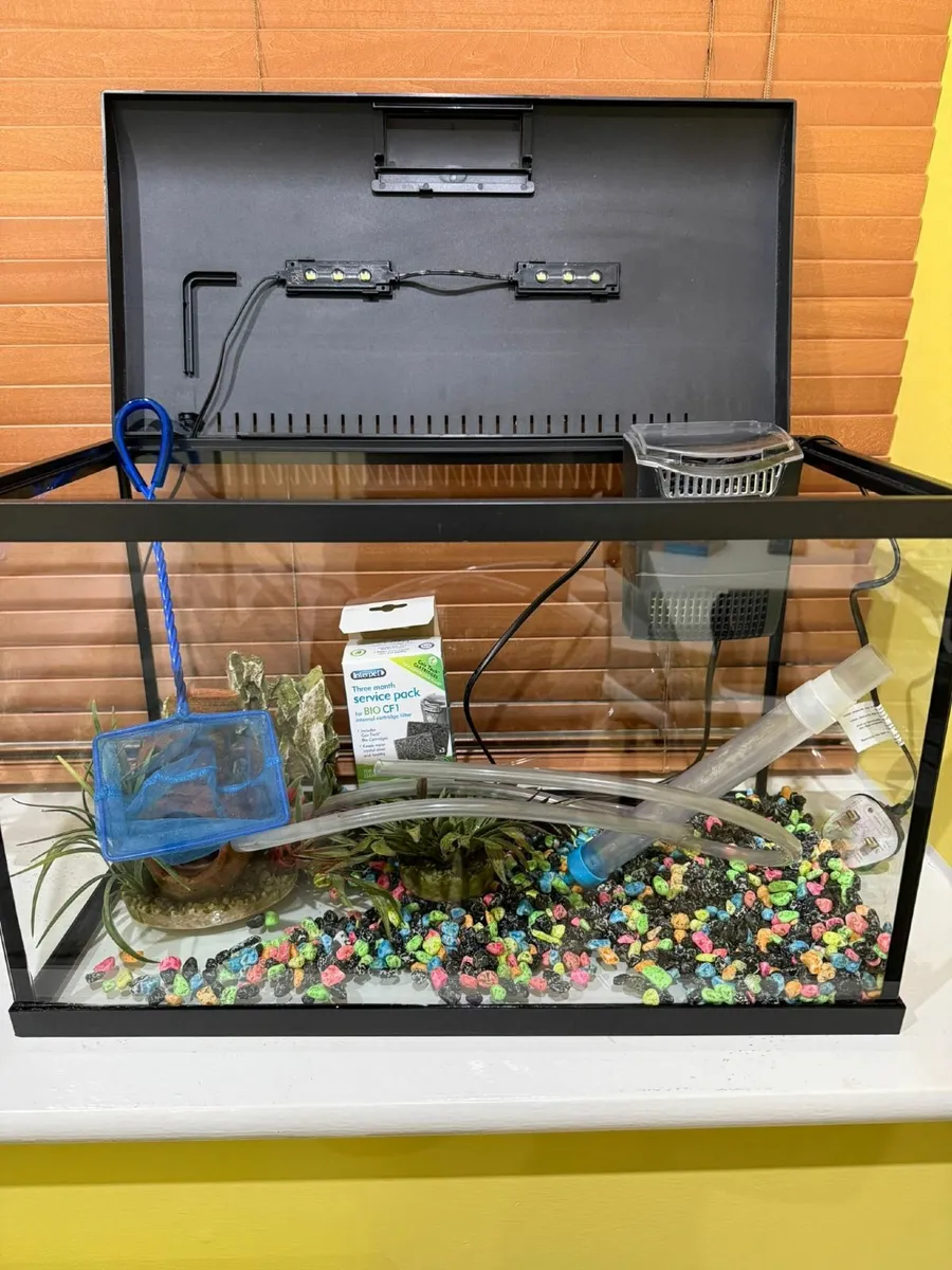 Fish Tank (All Included) - Image 3