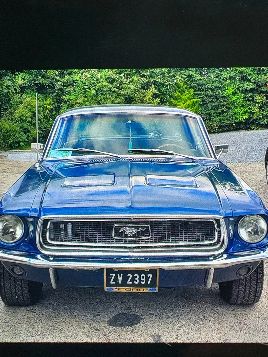 Car - Image 2