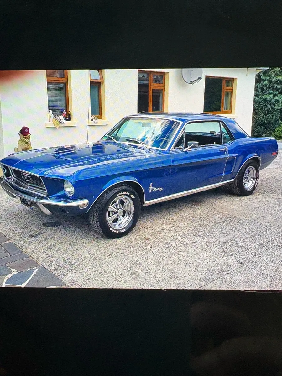 Car - Image 4