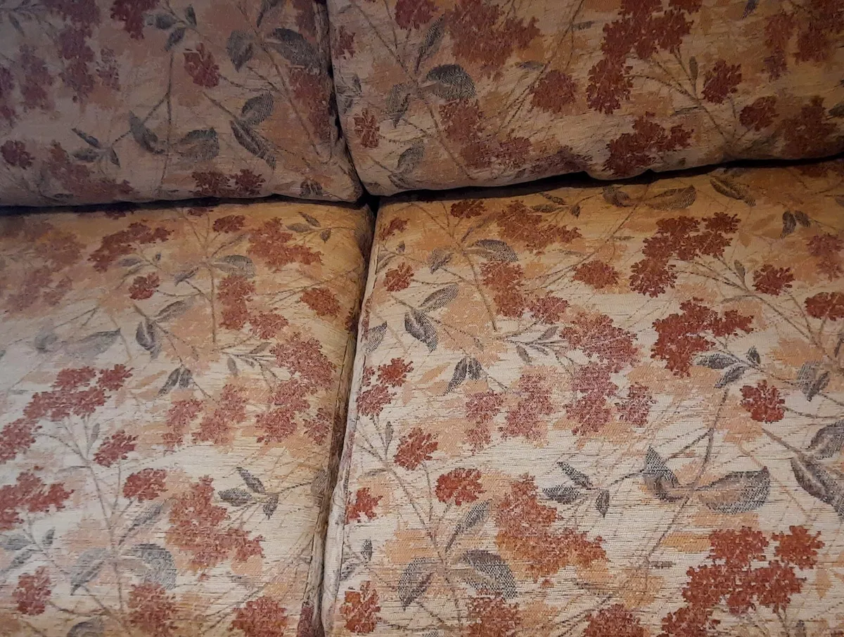 2 seater couch / sofa   ( Monkstown area ) - Image 4