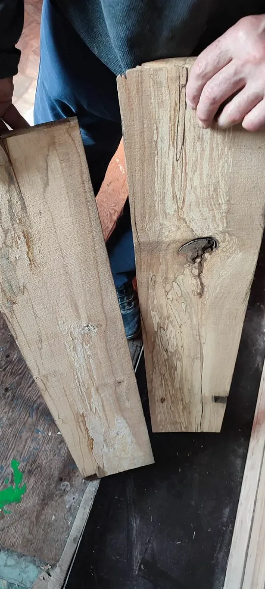 Spalted Beech Timber cut to lengths - Image 3