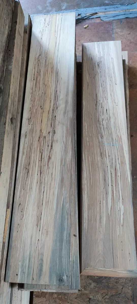 Spalted Beech Timber cut to lengths - Image 1