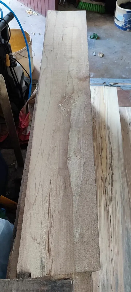 Spalted Beech Timber cut to lengths - Image 2