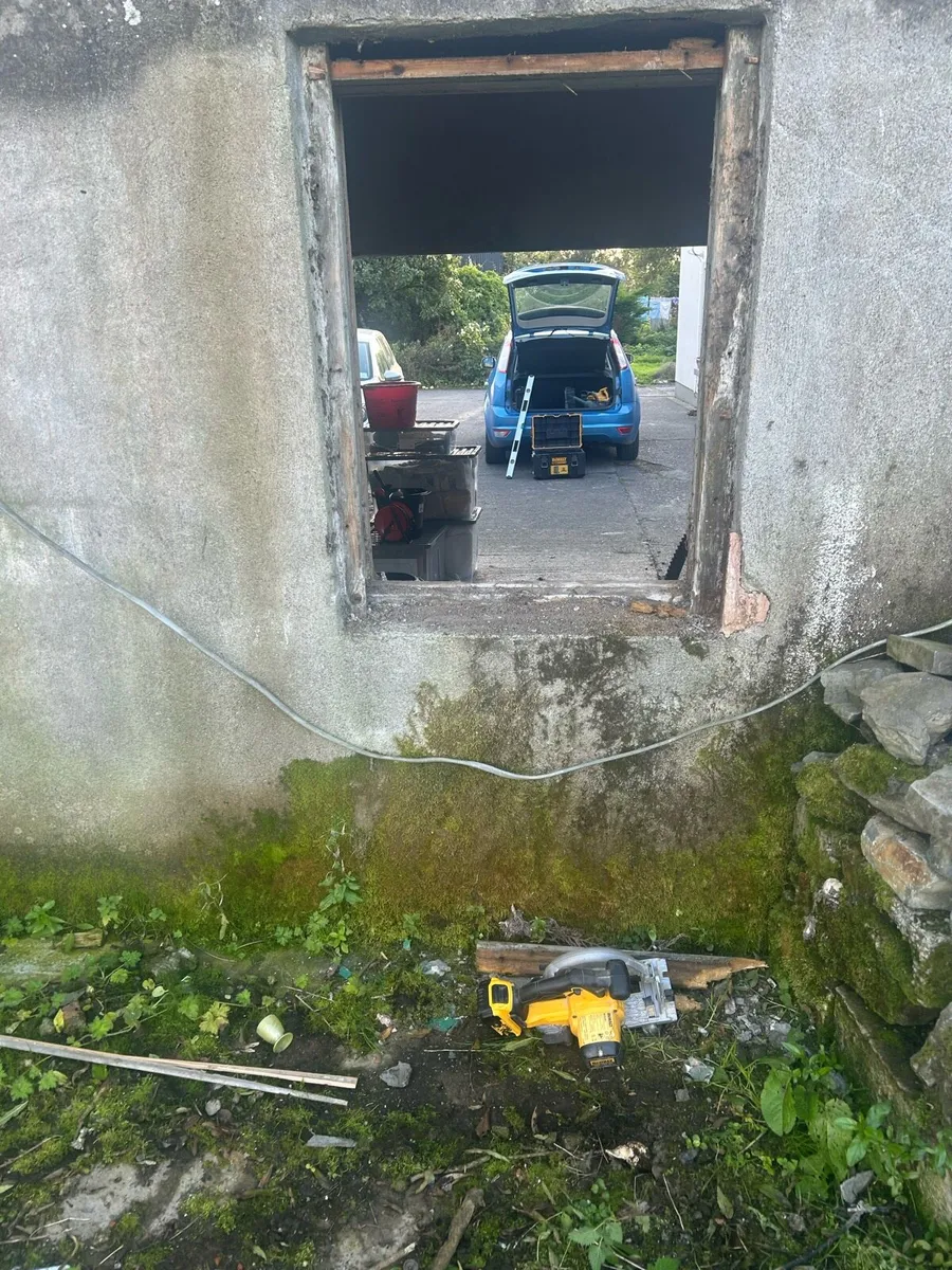Shed doors - Image 2