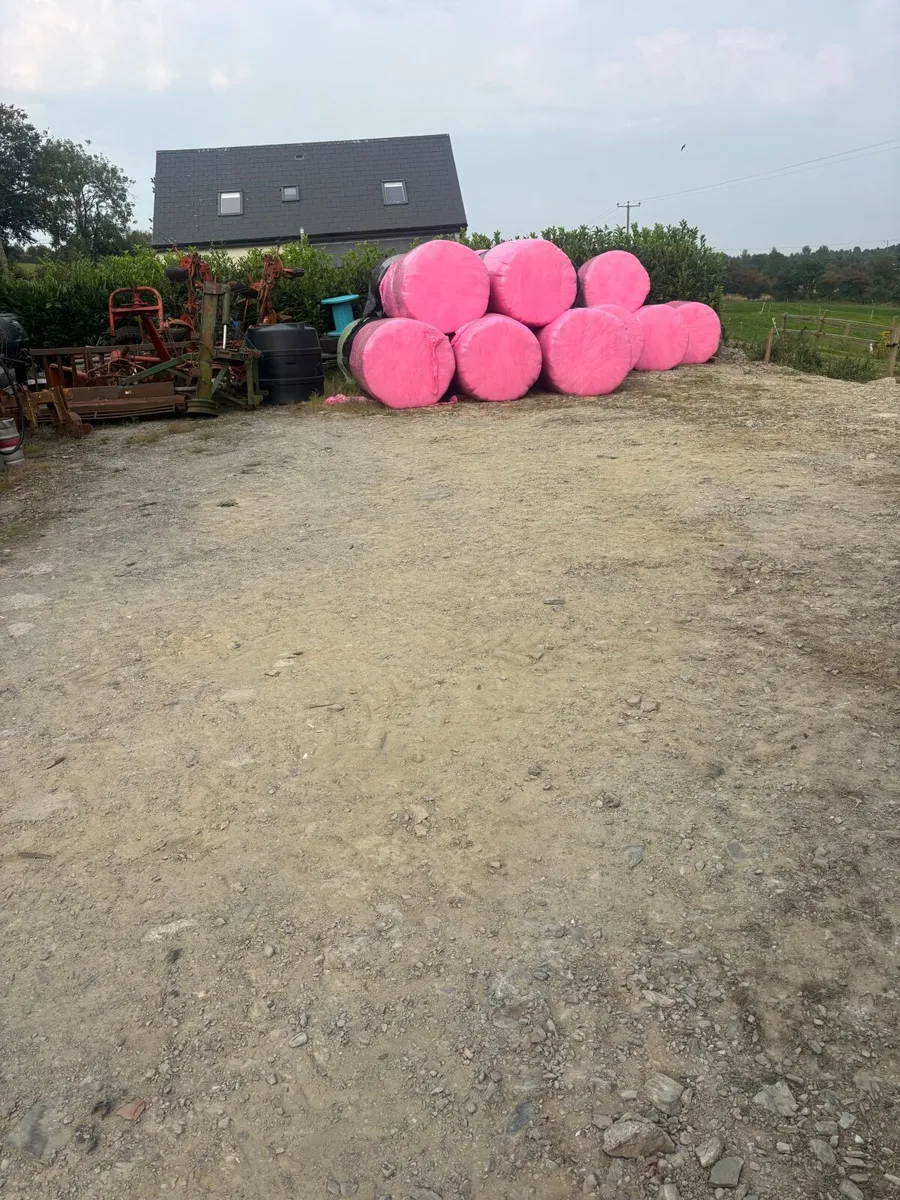 Silage bales - Image 1