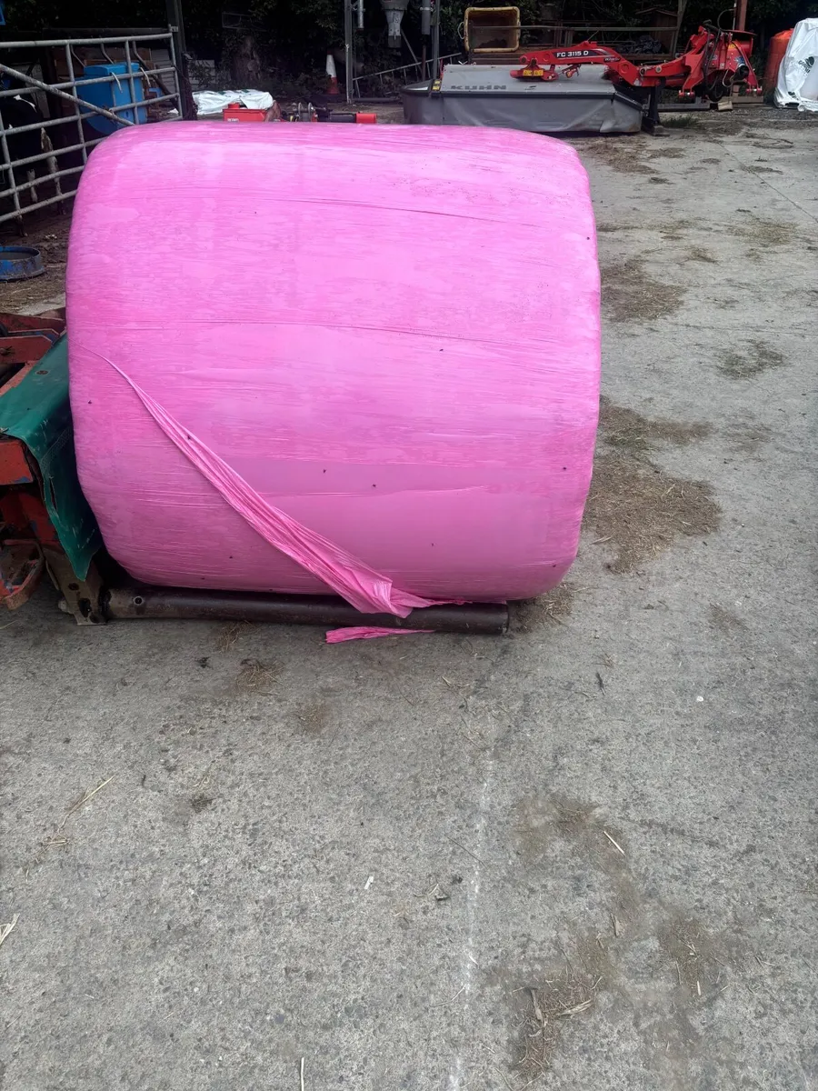 Silage bales - Image 2