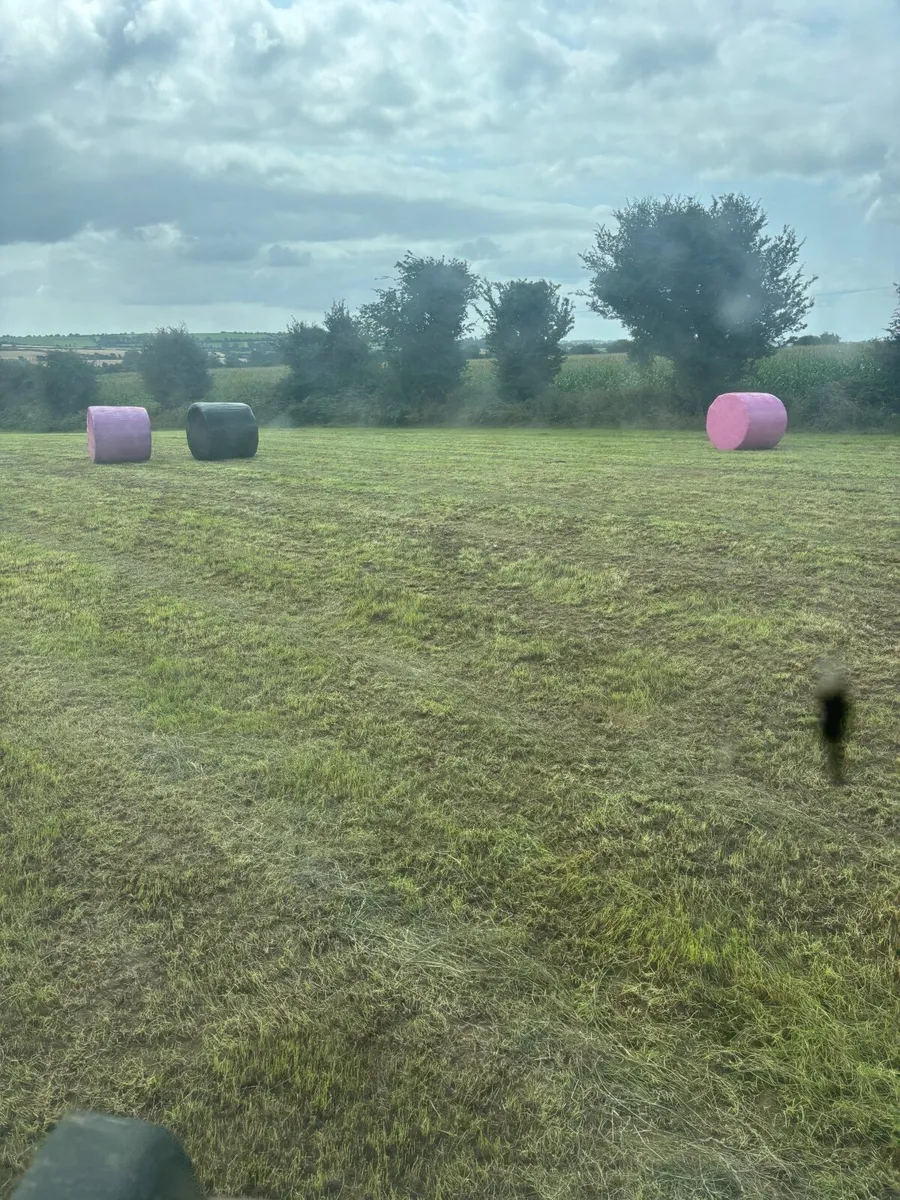Silage bales - Image 4