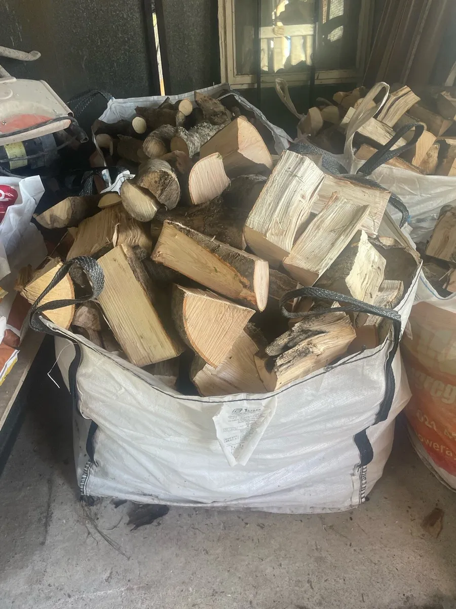 Firewood - Image 4