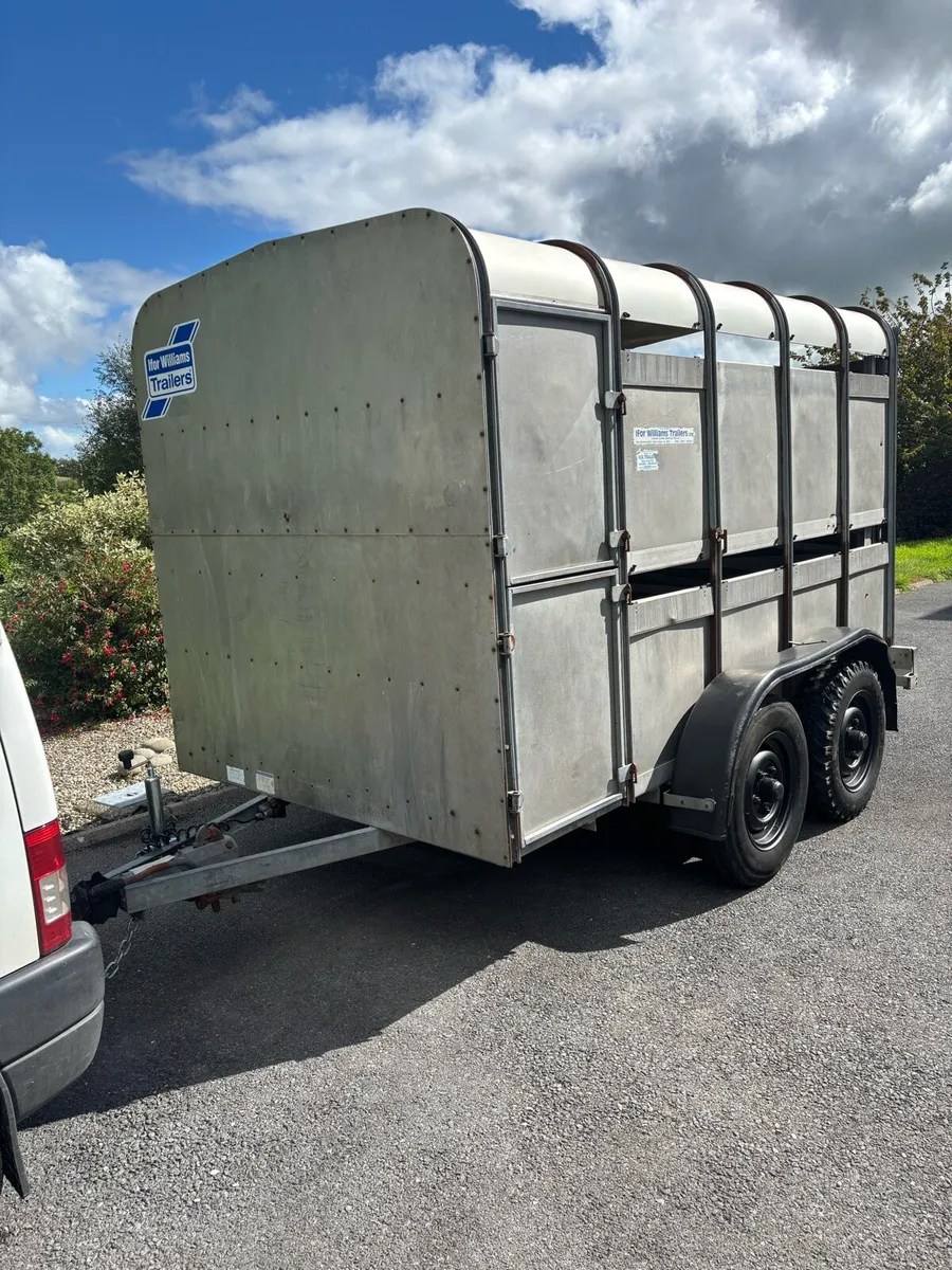 Ifor williams 10x6 cattle box - Image 3