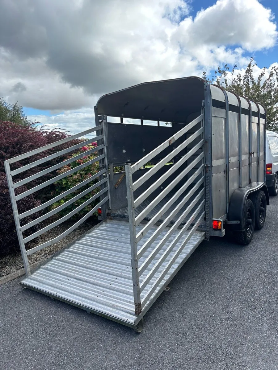 Ifor williams 10x6 cattle box - Image 4