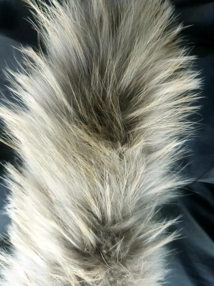Canada Goose jacket - Image 3