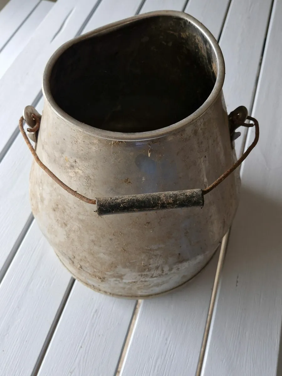 Milk Cans-Flower Pots - Image 4