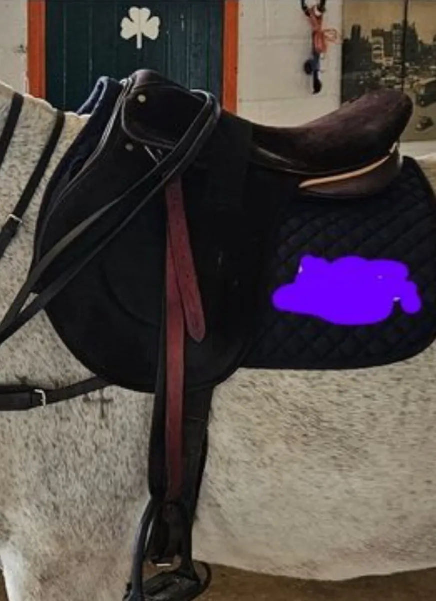 Barney Bros. Suede Polo Saddle