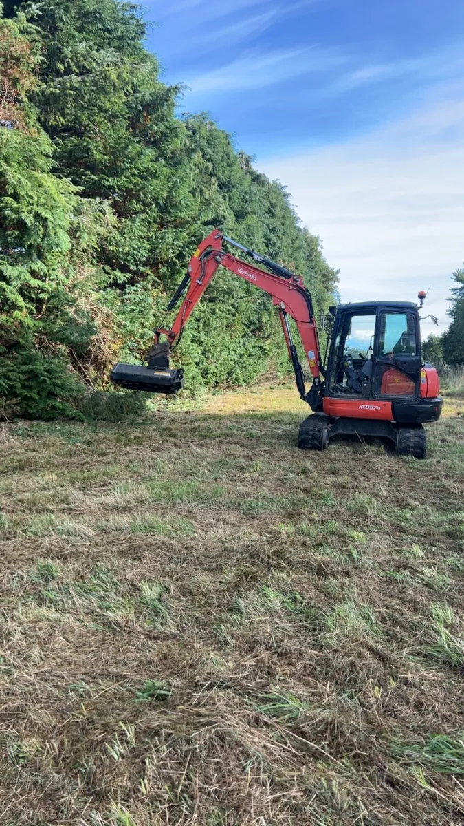 Mulcher/ Hedge cutter - Image 1