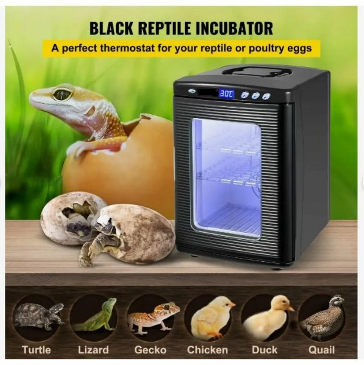 Black Reptile Incubator 25L - Image 2