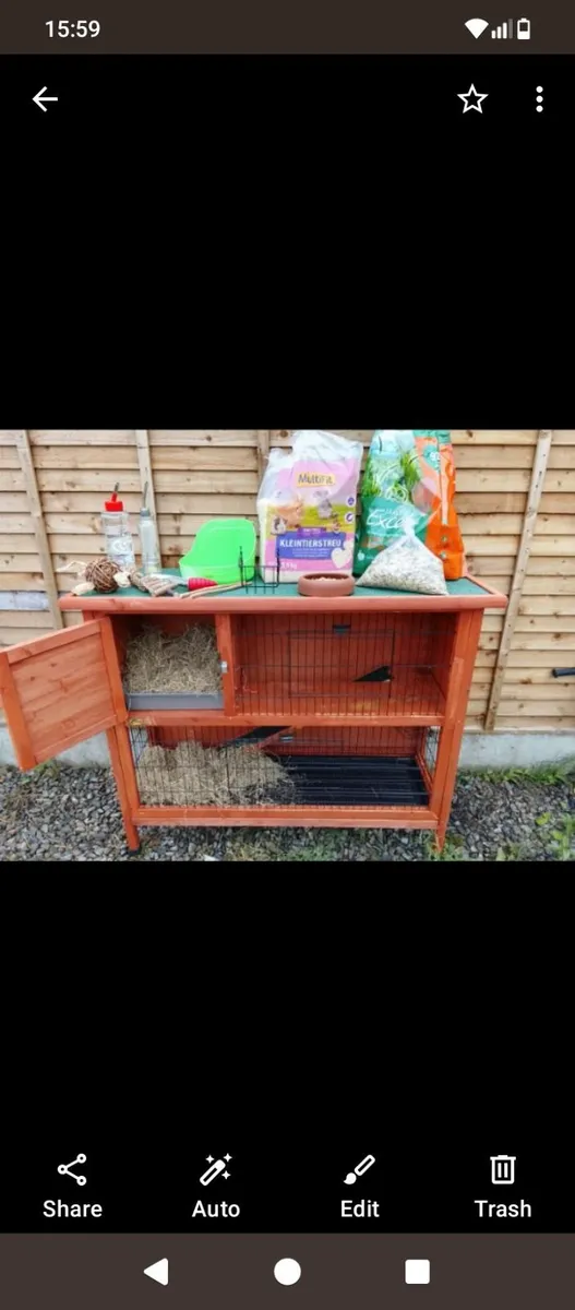 Pets - Image 2