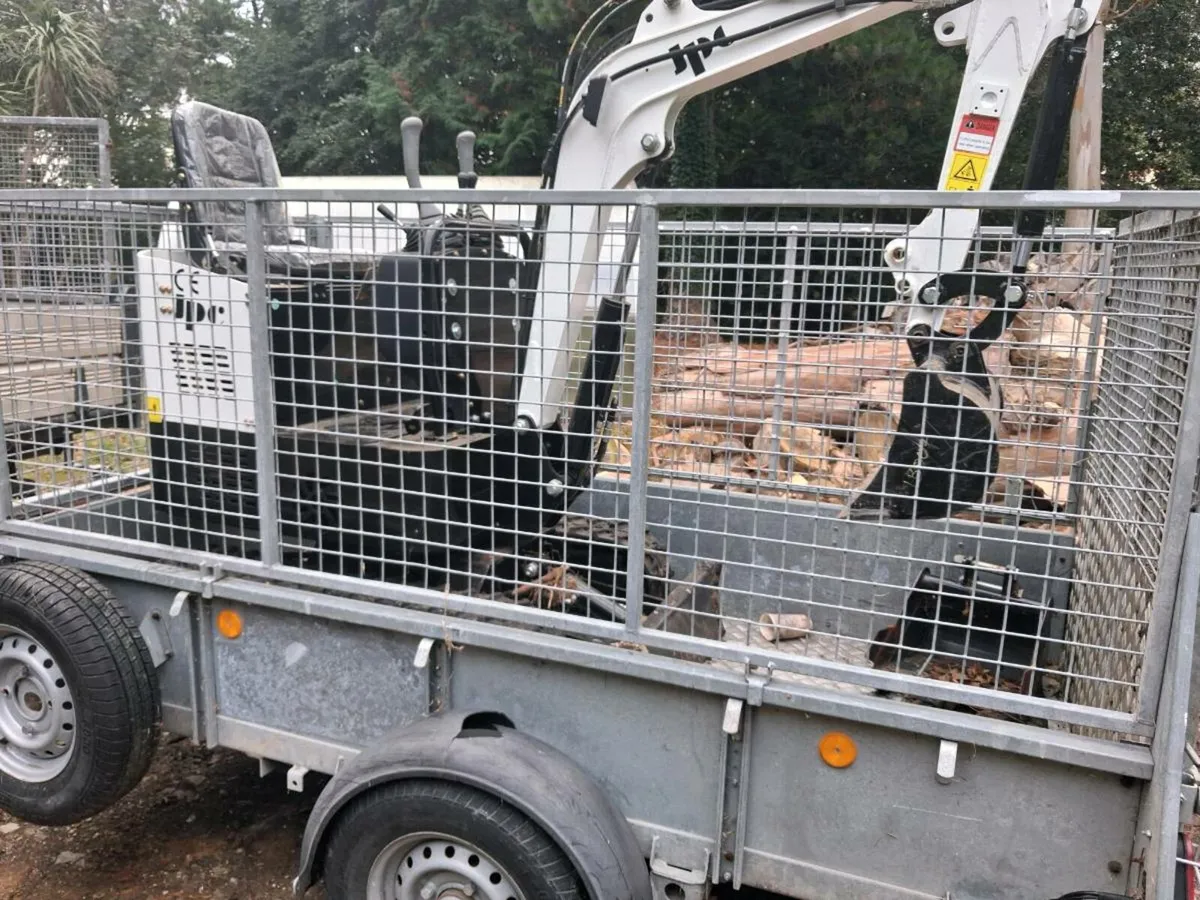 Mini digger and trailer - Image 4