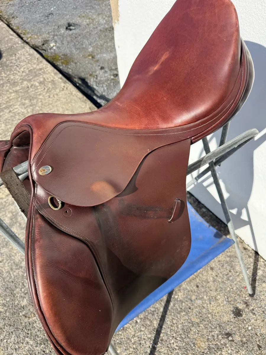 Jaguar Saddle - Image 1