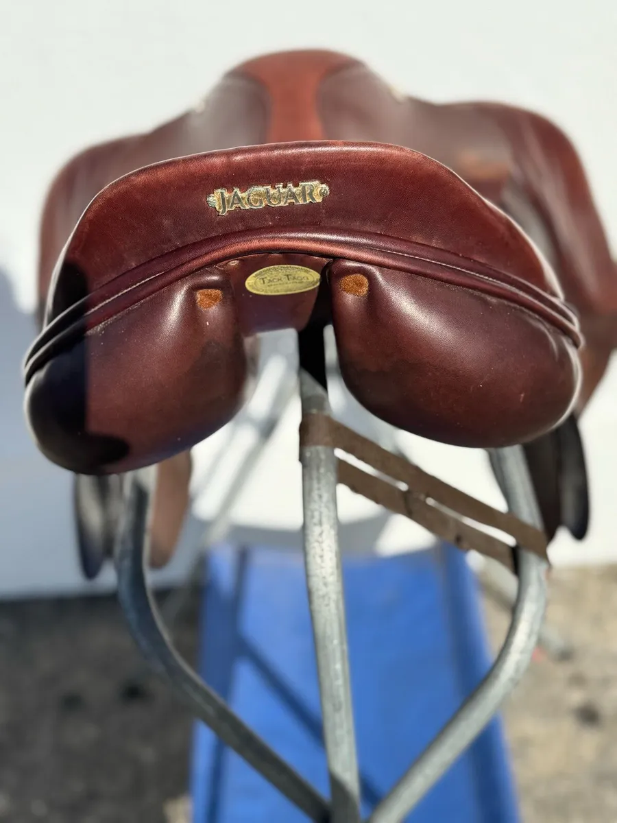 Jaguar Saddle - Image 2
