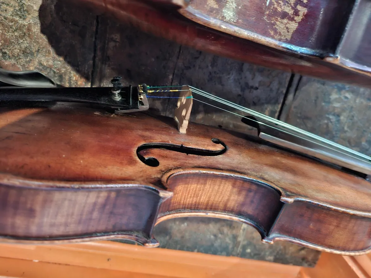 Violin - Image 2