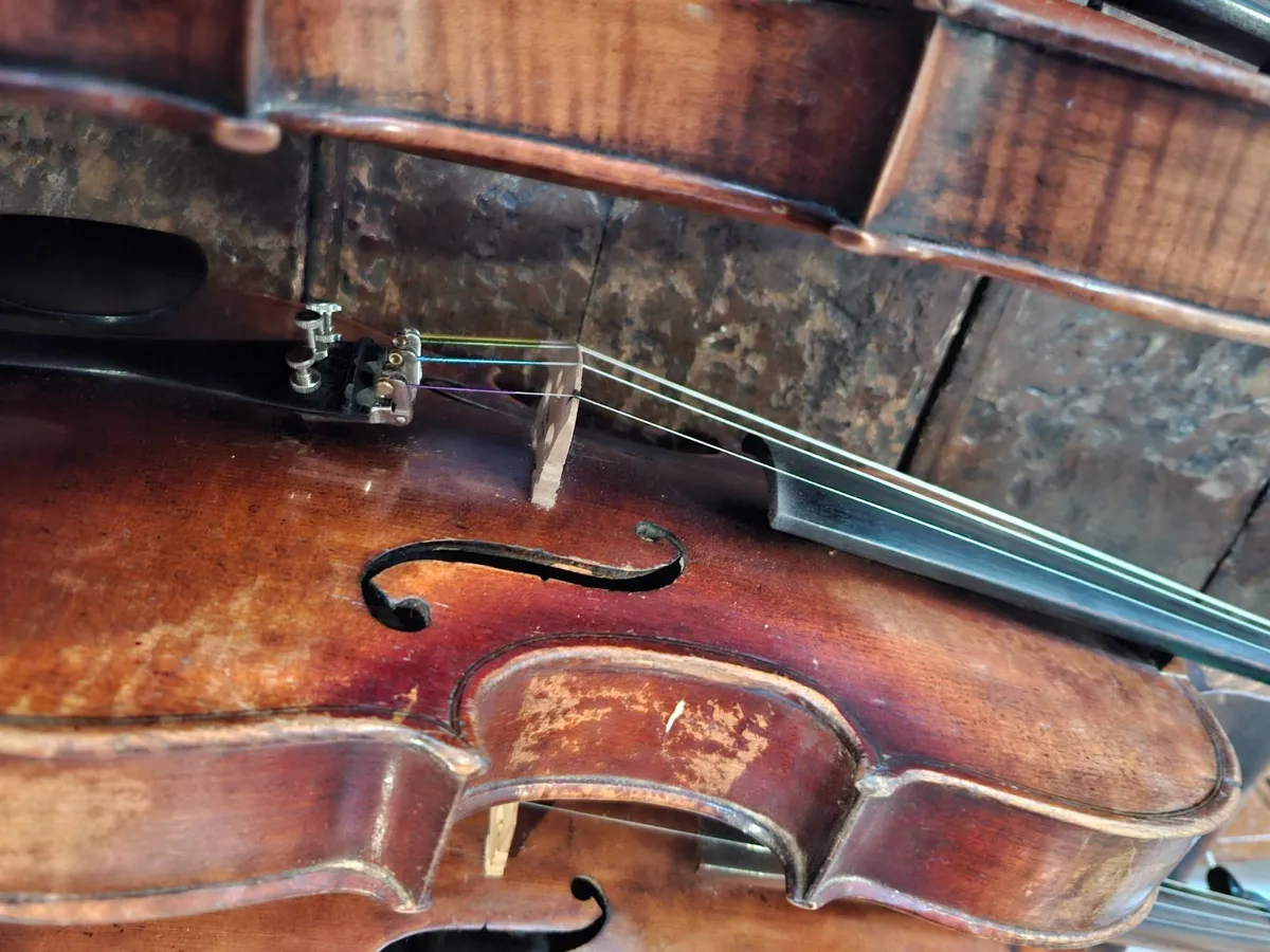 Violin - Image 4
