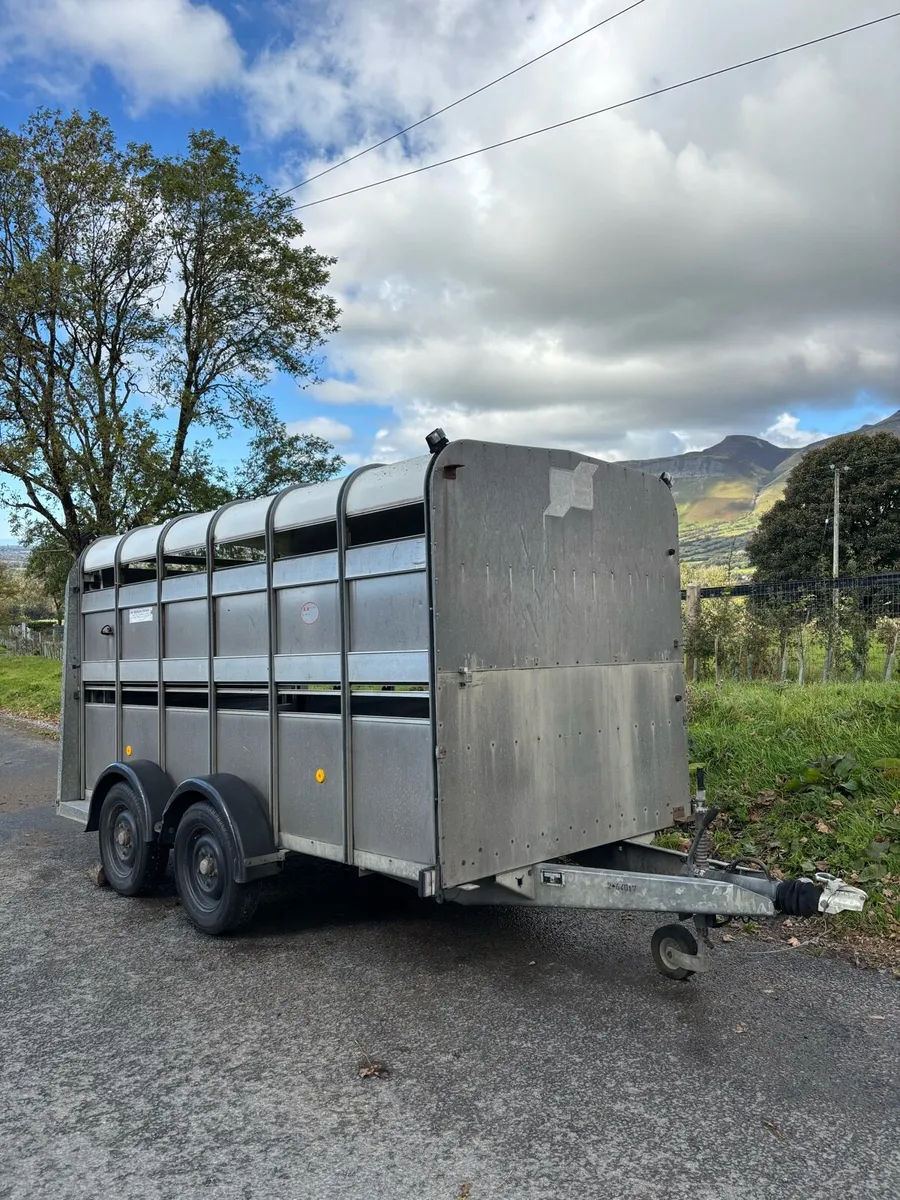 Ivor Williams sheep trailer 12x6 - Image 1