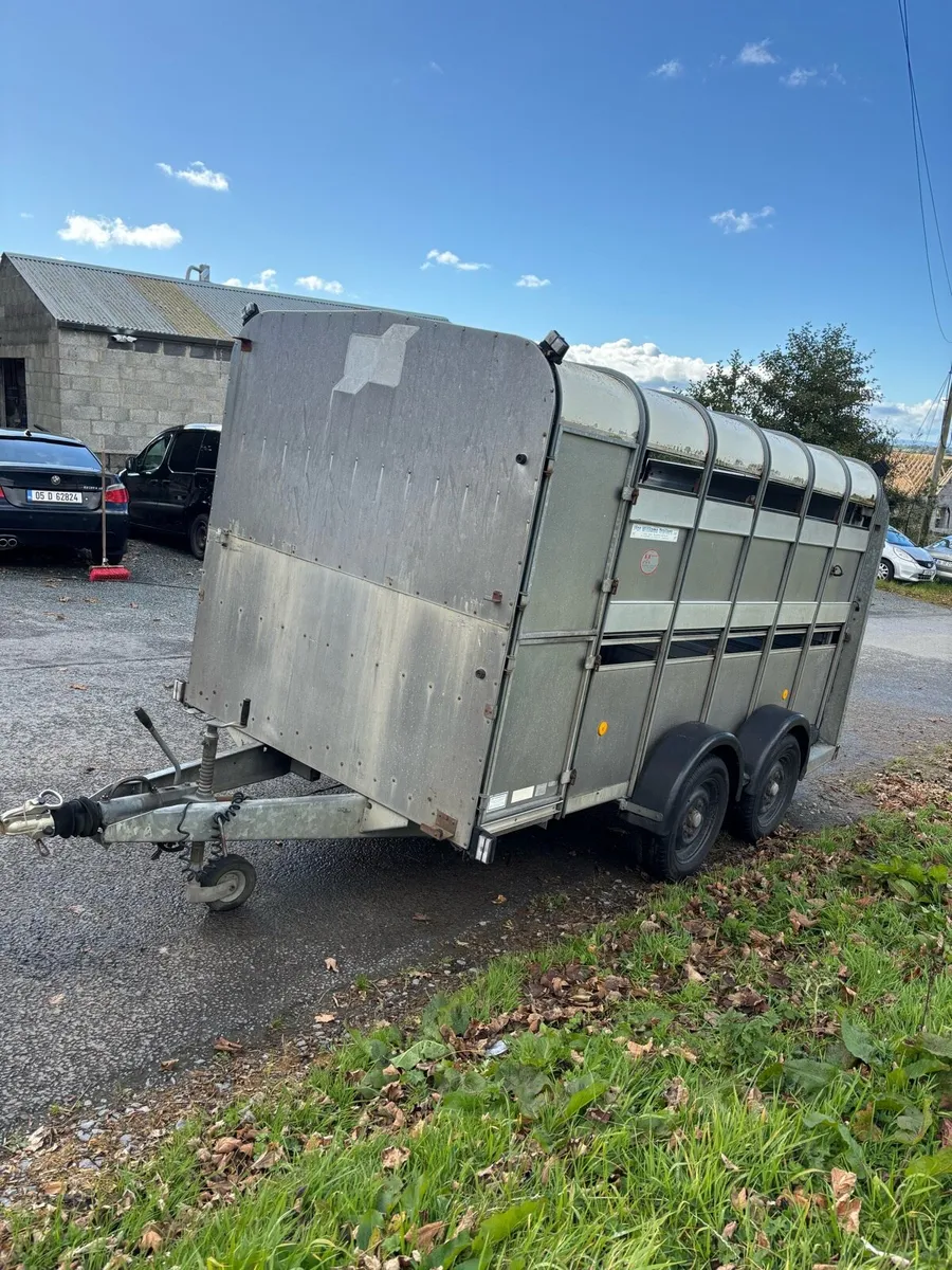 Ivor Williams sheep trailer 12x6 - Image 2