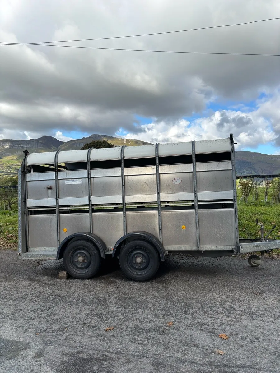 Ivor Williams sheep trailer 12x6 - Image 3
