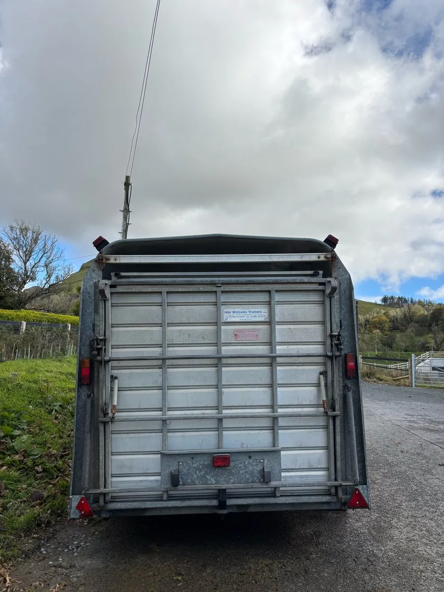 Ivor Williams sheep trailer 12x6 - Image 4