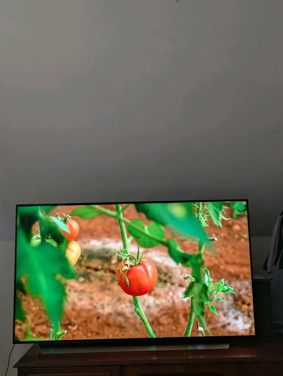 LG CX 55” 4K OLED TV - Image 1